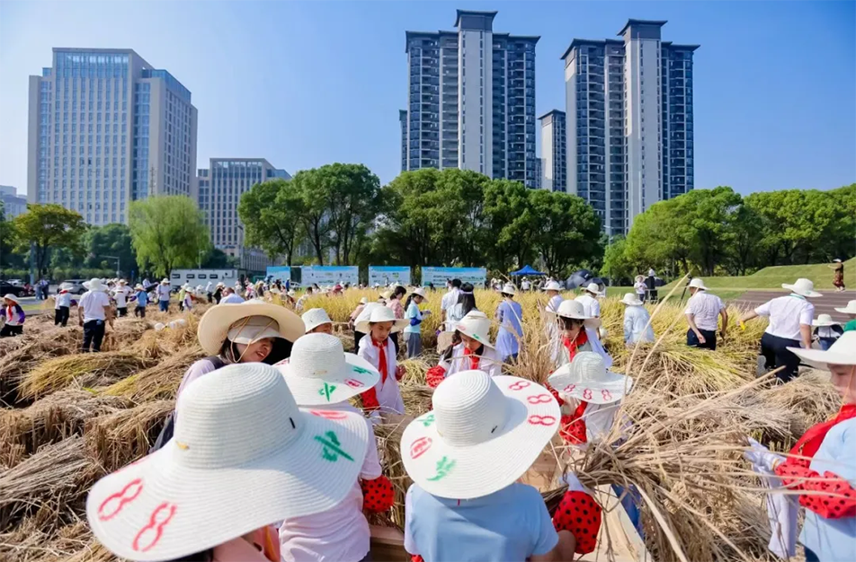 九洲公園舉辦“南昌城里有點田”秋收體驗活動 青少年體驗農(nóng)耕文化 九洲公園舉辦“南昌城里有點田”秋收體驗活動 青少年體驗農(nóng)耕文化